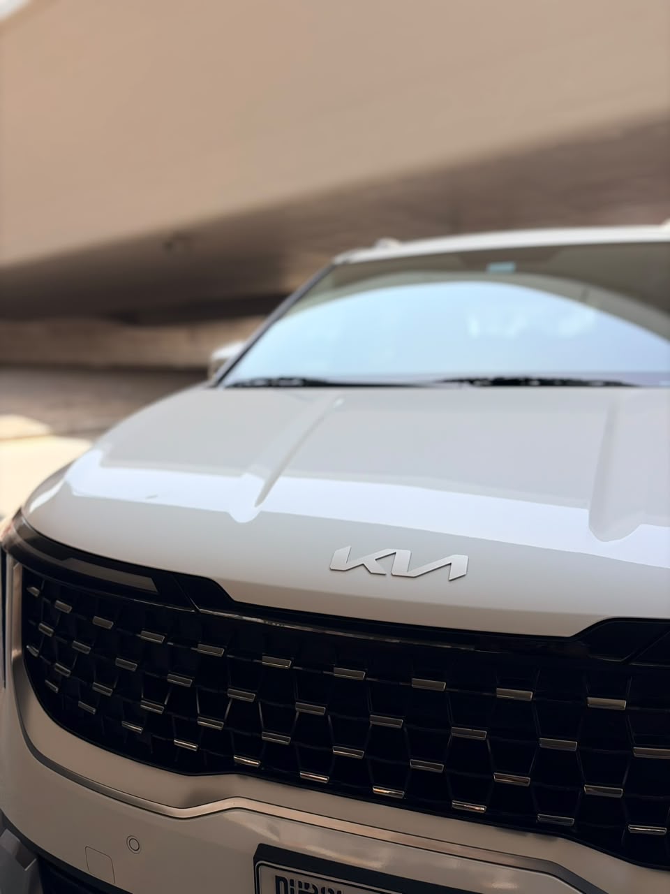 Kia Carnival View 4